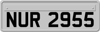 NUR2955