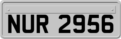 NUR2956