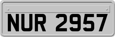 NUR2957