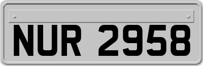NUR2958