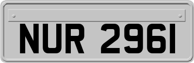 NUR2961