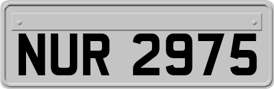 NUR2975