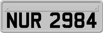 NUR2984
