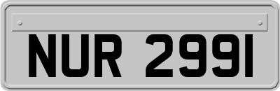 NUR2991