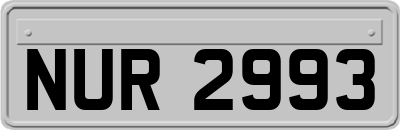 NUR2993