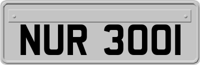 NUR3001
