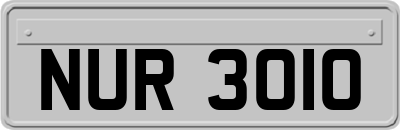 NUR3010