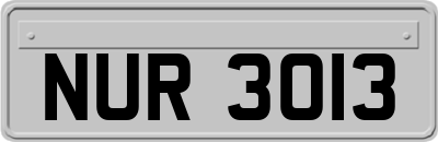 NUR3013