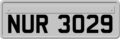 NUR3029