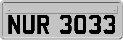 NUR3033