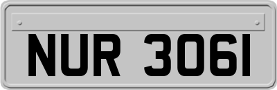 NUR3061