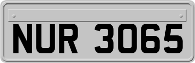 NUR3065