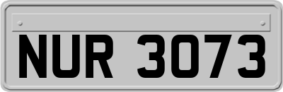 NUR3073