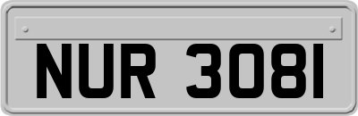 NUR3081