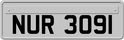 NUR3091