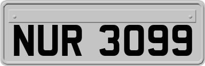 NUR3099