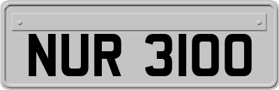 NUR3100