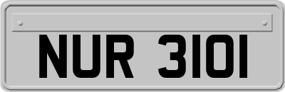 NUR3101