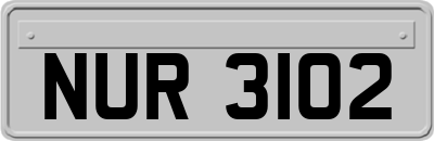 NUR3102