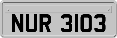 NUR3103