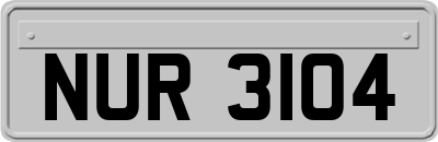 NUR3104
