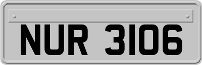 NUR3106