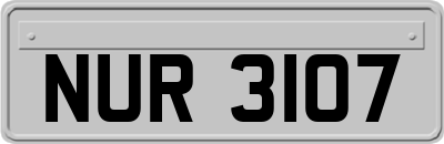 NUR3107