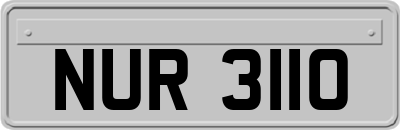 NUR3110
