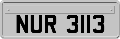 NUR3113