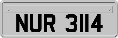 NUR3114