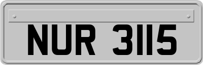 NUR3115