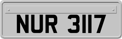 NUR3117