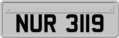 NUR3119