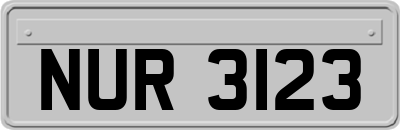 NUR3123