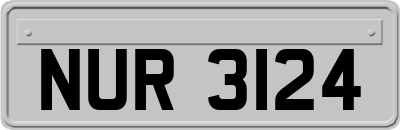 NUR3124