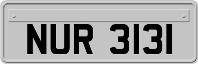 NUR3131