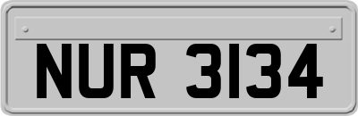 NUR3134