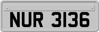 NUR3136