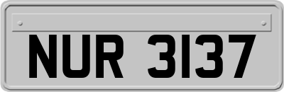 NUR3137