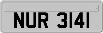 NUR3141