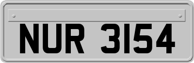 NUR3154