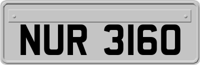 NUR3160