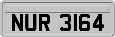NUR3164