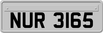 NUR3165