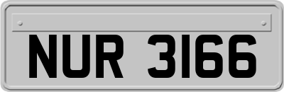 NUR3166