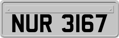 NUR3167