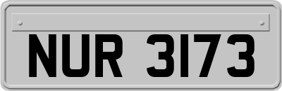NUR3173