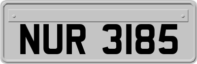 NUR3185