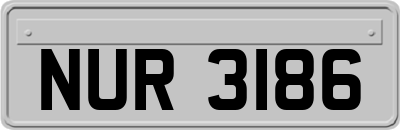 NUR3186