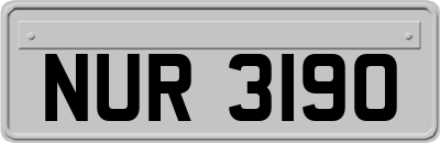 NUR3190